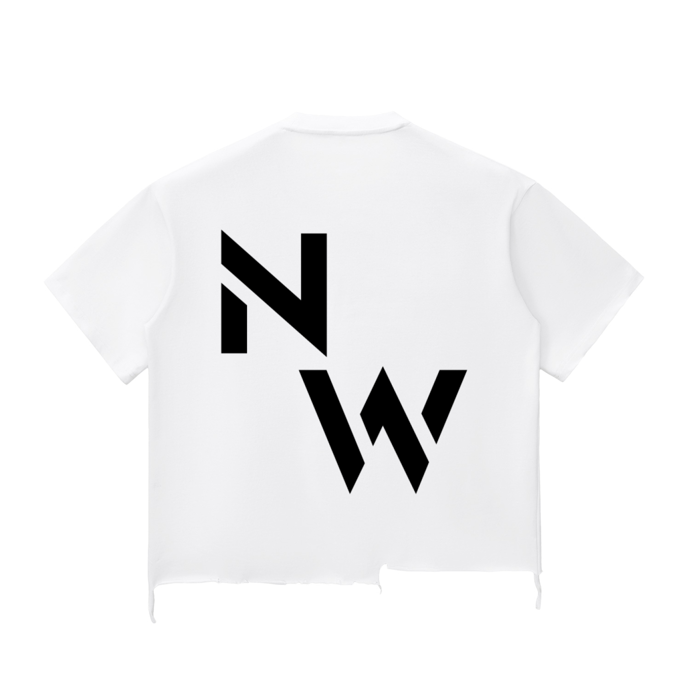 NWS Wash Raw-Hem Boxy T-shirt