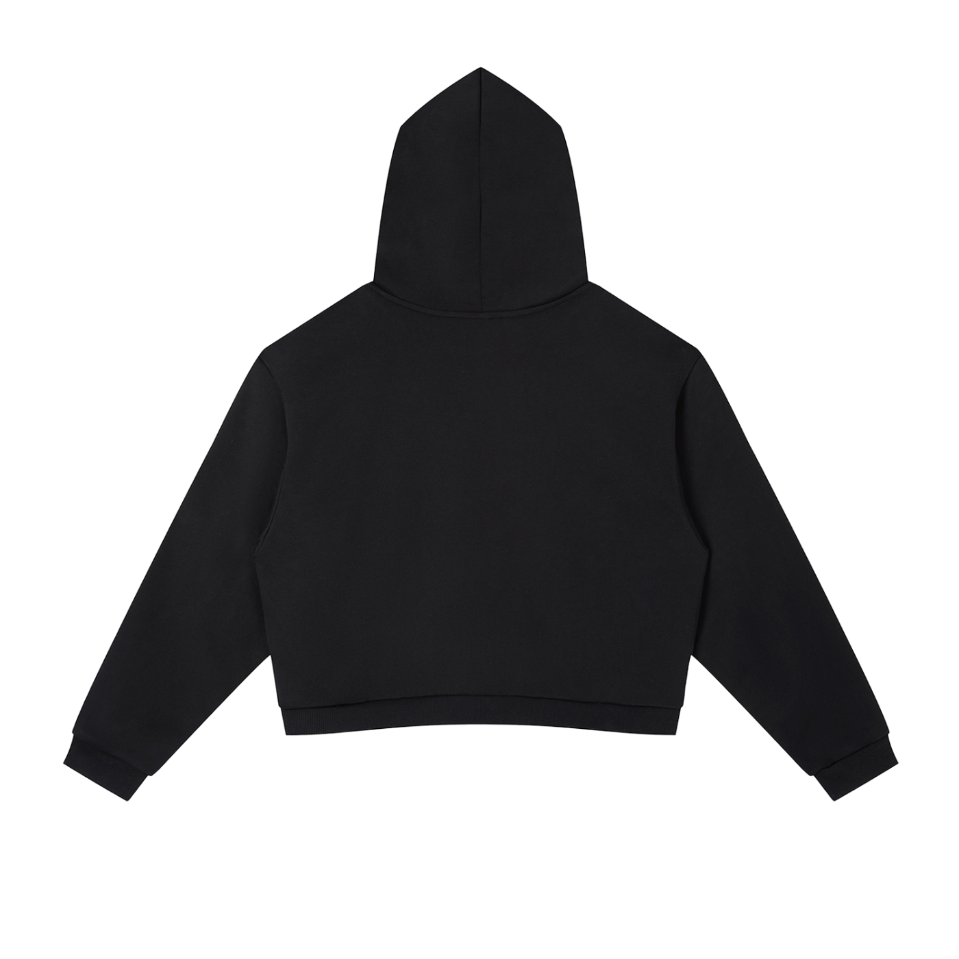 NWS Cropped Hoodie