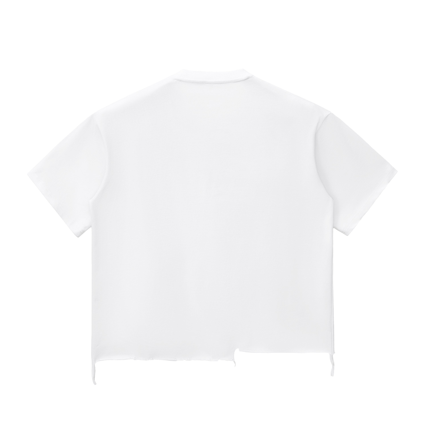 NWS Snow Wash Raw-Hem Boxy T-shirt